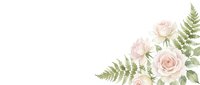 Soft pink roses with green fern leaves arranged in corner composition on white isolated background, ready for wedding invitations, greeting cards, and design projects.