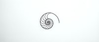 Nautilus shell spiral line drawing isolated on white background, ready for design projects, logos, and educational materials.