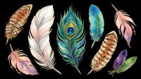 Watercolor feathers in various styles including peacock, striped, and gradient designs isolated on transparent background. Ready for t-shirt designs, clipart, stickers, sublimation, print-on-demand products, and digital crafts.