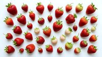 Assorted fresh strawberries in various sizes and ripeness stages arranged on white background, isolated for design, packaging, food marketing and culinary projects.