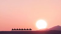 Silhouette of camel caravan crossing desert landscape at sunset with dramatic orange sky and mountain backdrop. Peaceful nomadic desert scene.