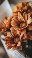 Macro shot of orange chrysanthemum flowers with soft petals and detailed centers, creating warm autumn mood. Natural floral arrangement on blurred background.
