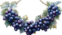 Watercolor garland of ripe purple grape clusters with green leaves, decorative botanical border element on white background, isolated for design.