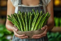 Fresh green asparagus spears held in hands by farmer wearing apron. Organic vegetable harvest, farm produce, healthy eating, agriculture, and sustainable food sourcing.