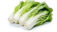 Fresh napa cabbage heads isolated on white background for healthy cooking and salad preparation in kitchen recipes and organic vegetable dishes.