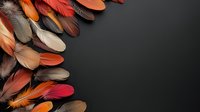 Vibrant orange, brown and red feathers arranged on dark background creating decorative border pattern. Natural texture and softness for artistic design projects.