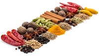 Colorful array of aromatic spices and herbs arranged in diagonal line on white background. Cooking ingredients for culinary recipes and seasoning blends.