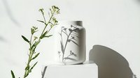 Natural skincare bottle with fresh green plant branch on white surface with soft shadows for organic beauty product branding and wellness marketing campaigns.