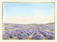 Lavender field landscape with rolling hills under soft sky, featuring purple flowering plants in organized rows with golden frame border, suitable for home decor and travel themes.