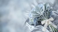 Dusty miller silver foliage bouquet with white lace ribbon on soft gray silk fabric background for wedding decor and floral arrangements.