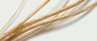 Golden wheat stalks arranged diagonally on white background, natural grain texture for harvest season designs and organic food concepts.