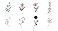 Botanical line art illustrations featuring delicate flowers and foliage in minimalist style, isolated on white background for design projects and creative applications.