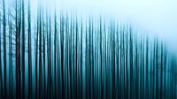 Mystical forest silhouettes in turquoise and black create atmospheric vertical lines through fog and mist, evoking moody and ethereal woodland scenery.
