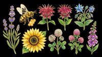 Honey bee and wildflowers clipart set with lavender, sunflower, clover, and foxglove, isolated on transparent background, ready for stickers, sublimation, and t-shirt design.