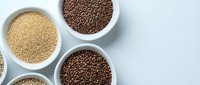 Assorted organic grains and legumes in white bowls on light background for healthy cooking and nutrition concepts.