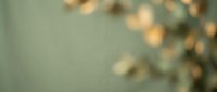 Soft blurred Christmas tree lights creating warm golden bokeh effect on sage green background for holiday greeting cards and festive designs.