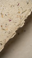 Handmade paper texture with natural fibers and flower petals embedded in organic surface for craft projects and artistic backgrounds.