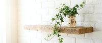 Rustic wooden shelf on white brick wall with ivy plant in glass jar, cozy home decor interior design concept.