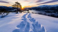 Winter sunrise landscape with footprints in snow leading to lone tree overlooking frozen lake and mountains. Golden sunburst through branches creates dramatic lighting.