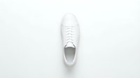 White leather sneaker isolated on white background, top view flat lay. Minimalist casual footwear for fashion, sport, and lifestyle design projects.