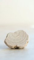 Natural pumice stone with porous texture on neutral background for spa wellness skincare and exfoliation treatments in minimalist setting.