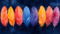 Vibrant colorful feathers arranged in row on dark blue background, featuring orange, yellow, red, blue, purple and pink plumes. Artistic composition for design.
