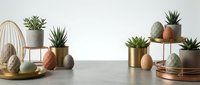 Modern succulent plants in stylish ceramic pots arranged on copper wire stands and wooden shelves for contemporary home decor and interior design.