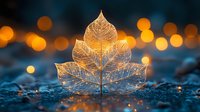 Delicate golden leaf with intricate vein patterns glowing against bokeh lights background. Autumn nature macro photography for seasonal designs and decorations.
