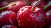 Fresh ripe cherries with water drops in macro view, bright red fruit with green stems on dark background, natural organic produce for food design.