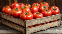 Fresh ripe red tomatoes in rustic wooden crate against dark background, farm harvest produce for healthy cooking and natural food photography.