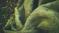 Textured green burlap fabric with natural folds and wrinkles creating an organic pattern, captured in macro detail with soft lighting and shallow depth of field.