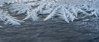 Delicate frost crystals forming intricate feathery patterns on dark wooden surface creating natural winter texture for seasonal designs and cold weather concepts.