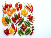 Assorted fresh peppers and chili varieties arranged on white background, including red, yellow, orange, and green hot peppers for culinary and food styling use.