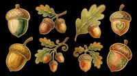 Acorn and oak leaf autumn design elements isolated on transparent background. Ready for t-shirt designs, clipart, stickers, sublimation, print-on-demand products and digital crafts.