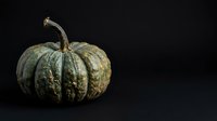 Aged decorative gourd with textured ridged surface and curved stem isolated on dark background, suitable for autumn, harvest, and seasonal design projects.