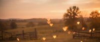 Romantic countryside landscape at golden hour with glowing heart-shaped bokeh lights over rural farmland and wooden fence for wedding or love concepts.