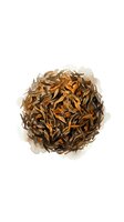 Dried tea leaves in golden and brown tones, isolated on white background. Loose leaf tea ready for brewing, suitable for beverage packaging, culinary design, and wellness product marketing.