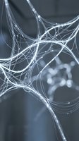 Translucent glass fibers intertwine in flowing, organic patterns against a soft-focused gray background, creating an abstract composition suitable for technology, innovation, and connectivity concepts.