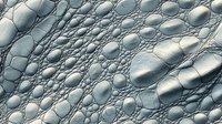 Detailed macro view of reptilian skin texture showing silvery blue scales in intricate overlapping pattern, natural armor surface with bumps and ridges.