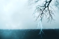 Dramatic lightning strike mirrored with bare tree branches against moody stormy sky, creating symmetrical reflection in dark water with rain droplets.