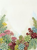 Watercolor succulent garden border frame with colorful plants and flowers on textured paper background for botanical design projects.