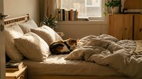 Calico cat resting on unmade bed with cream linens and pillows in sunlit bedroom with wooden furniture and plants.