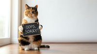 Adorable tabby cat sitting on wooden floor holding chalkboard sign saying oops sorry, expressing guilt and apology in bright indoor setting.