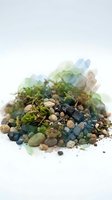 Moss-covered soil with stones and watercolor overlay effect, representing nature, ecology, and environmental concepts for design and creative projects.