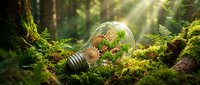 Lightbulb with green plants and moss growing inside glass on forest floor, symbolizing eco-friendly energy and sustainable innovation concepts.