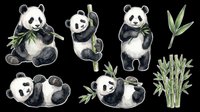 Cute panda bear clipart set with bamboo, watercolor style, isolated on transparent background, ready for stickers, t-shirt design, and print on demand.