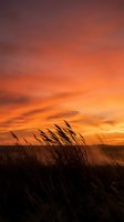 Dramatic sunset sky with vibrant orange and purple clouds over silhouetted grass field creating peaceful countryside landscape for nature backgrounds.