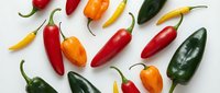 Colorful assorted hot chili peppers scattered on white background. Fresh spicy vegetables in red, orange, yellow and green colors for cooking and seasoning.