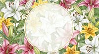 Tropical lily flowers frame with empty circular space for text or logo on white background for greeting cards and invitations.