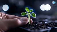 Young green seedling growing in soil held by gentle fingers against dark background with bokeh lights, representing growth, nurture and environmental care.